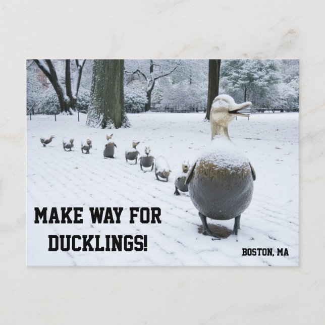 Make Way For The Ducklings Postcard (Front)