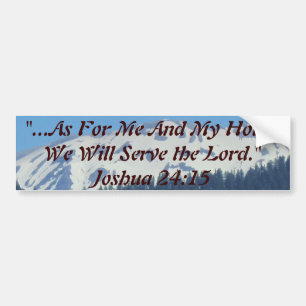 Make your car a reflection of you! Get your point Bumper Sticker