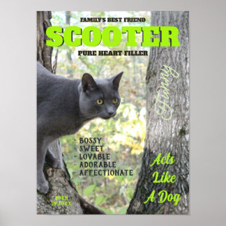 Make Your Kitty Cat Magazine Cover Poster