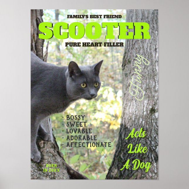 Make Your Kitty Cat Magazine Cover Poster (Front)