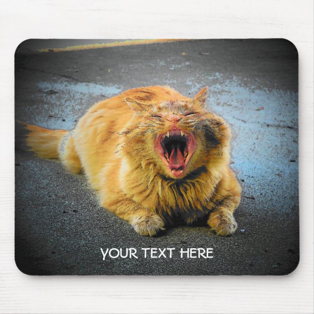 Make Your Own Cat Meme Mouse Mat (Front)