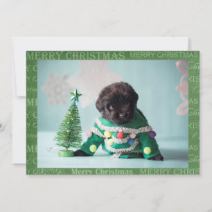 Make your own Christmas Card