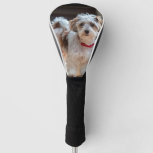 Make Your Own Custom Photo Family Pet Dog Animal Golf Head Cover