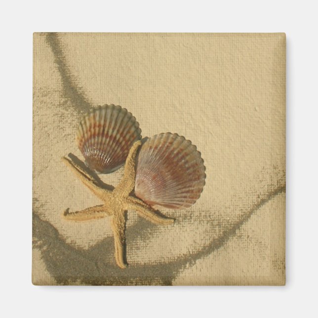 " Make Your Own Magnet- Beach Shells Magnet (Front)