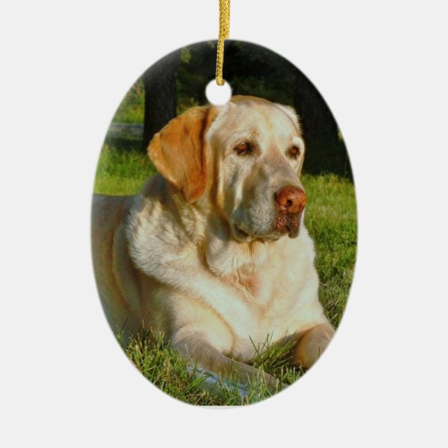 Make Your Own Pet Christmas Ornament (Front)