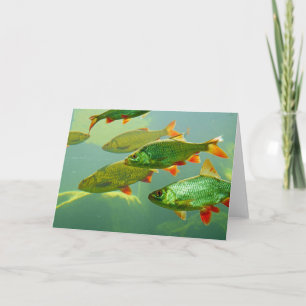 Make Your Own Photo Card