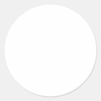 Make Your Own Stickers-Large 3 inch Classic Round Sticker
