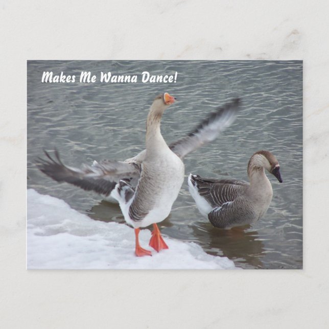 Makes Me Wanna Dance! Postcard (Front)
