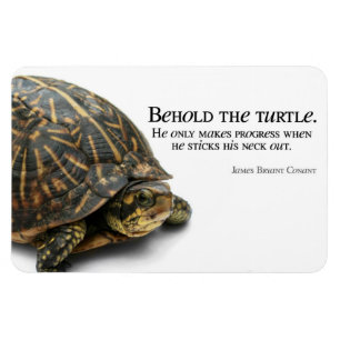 Makes Progress Magnet