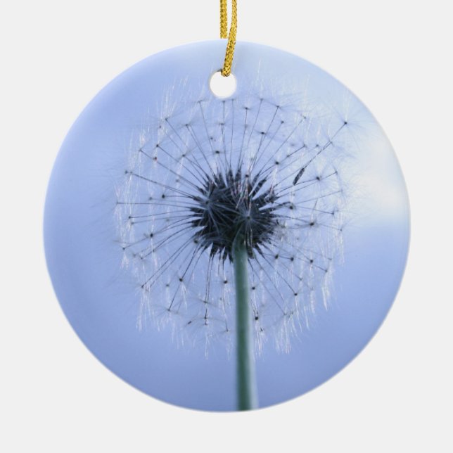 Makin' Wishes Ceramic Tree Decoration (Front)