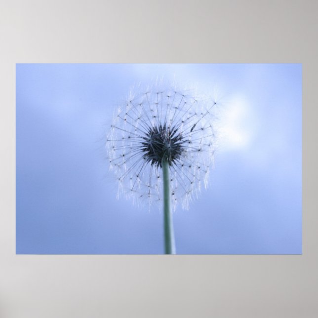 Makin' Wishes Poster (Front)