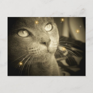 Making a Wish Postcard