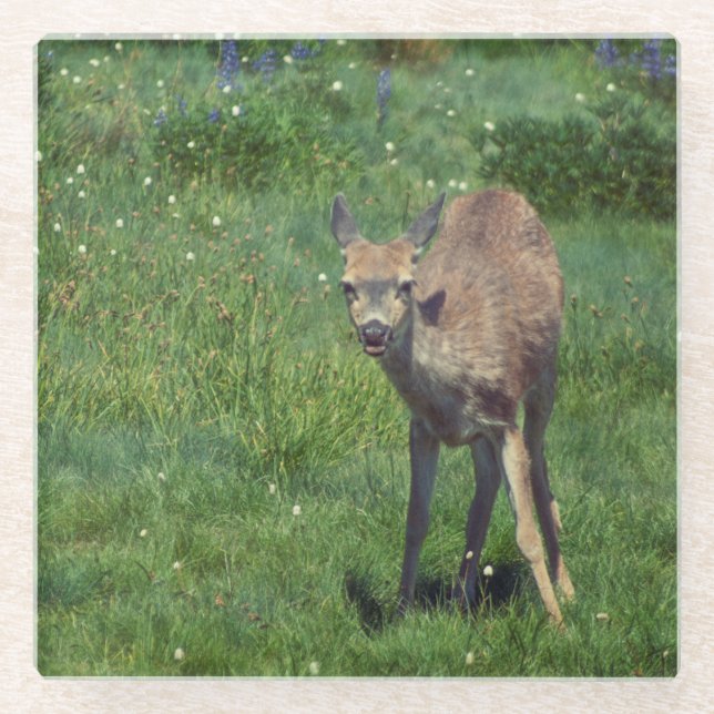 Making Face Glass Coaster (Front)