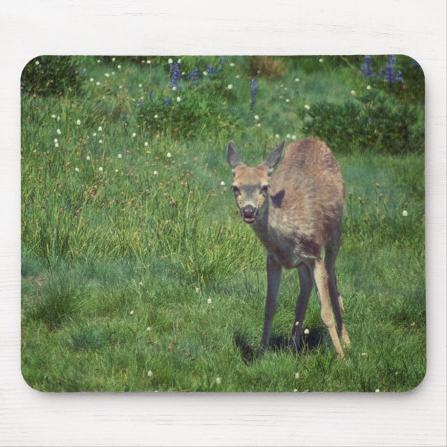 Making Face Mouse Mat (Front)