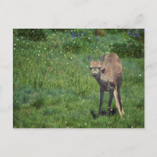 Making Face Postcard