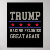 Making Felonies Great Again Funny Political Humour