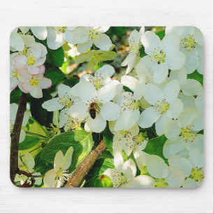Making Honey Mouse Mat