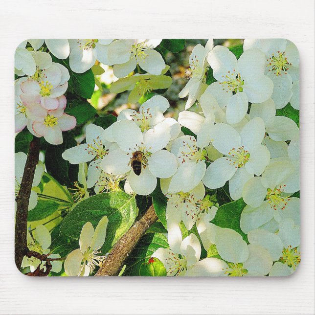 Making Honey Mouse Mat (Front)