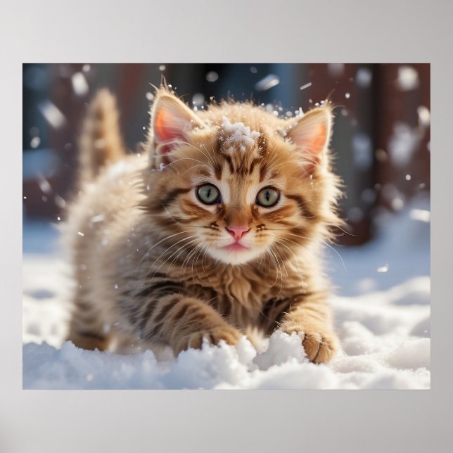 *~* Making Snow Ball Kitty 5:4  Kitten Cat AP68 Poster (Front)