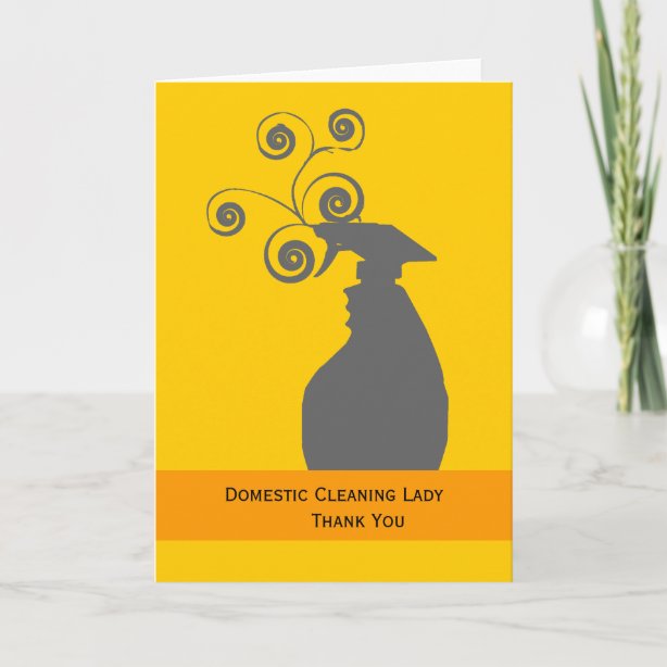 Cleaning Lady Gifts & Gift Ideas Zazzle UK