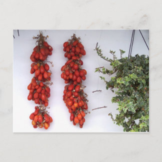 Making Sun Dried Tomatoes Postcard