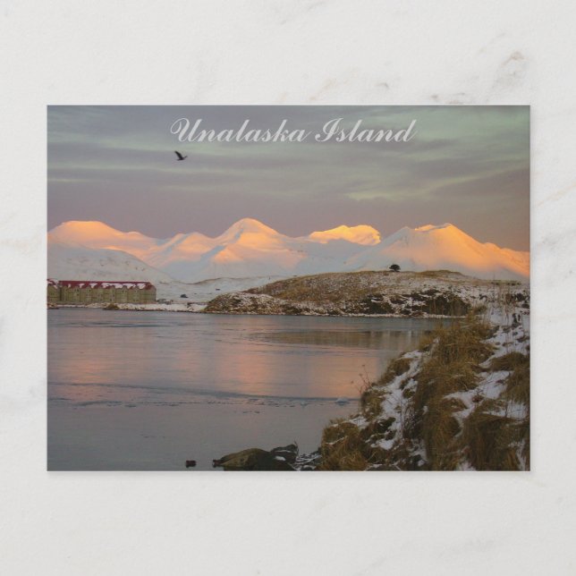 Makushin Mountains During a Winter Sunrise Postcard (Front)