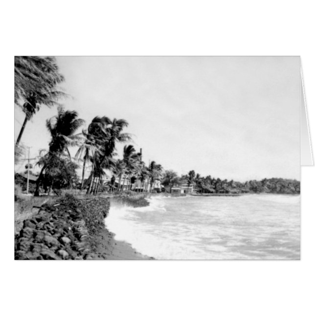 Mala Beach Lahaina Maui Hawaii (Front Horizontal)