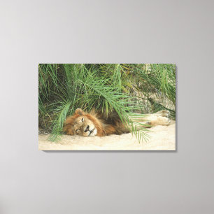 Mala Mala Reserve, Mpumalanga Province, South Canvas Print