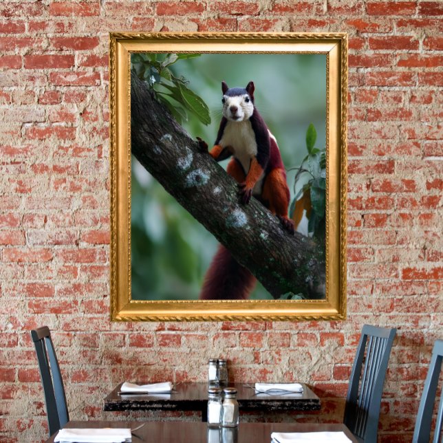 Malabar giant squirrel  poster (Creator Uploaded)