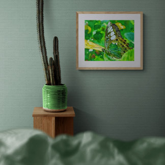 Malachite Butterfly on Green Leaf Photo Print
