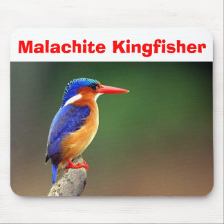 Malachite Kingfisher, Malachite Kingfisher Mouse Mat