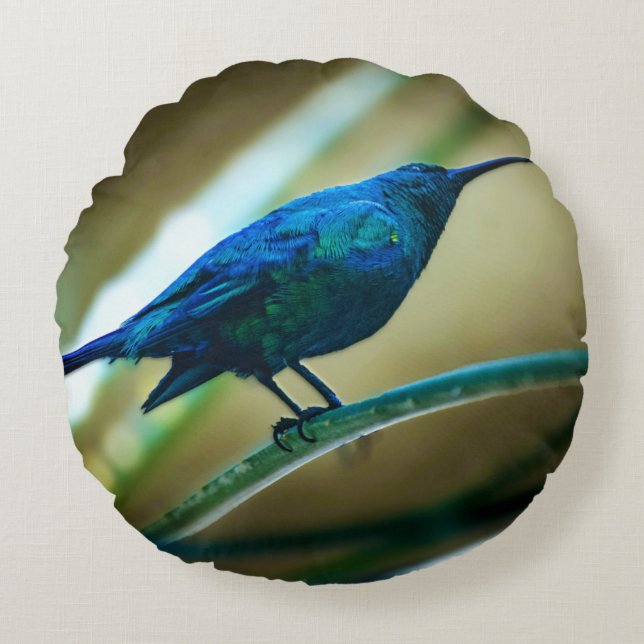 Malachite Sunbird Perched Closeup Round Cushion (Front)