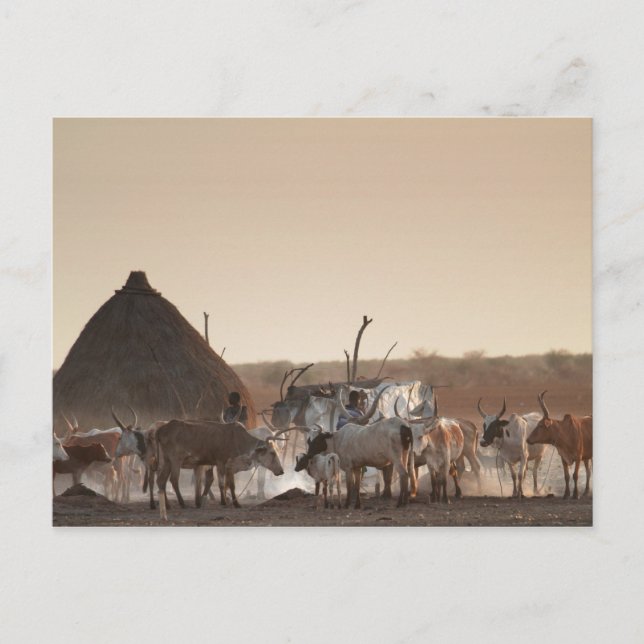 Malakal, village of Dinka ethnic group Postcard (Front)