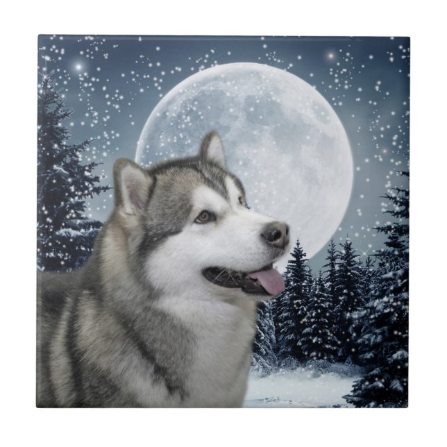 Malamute Ceramic Tile (Front)