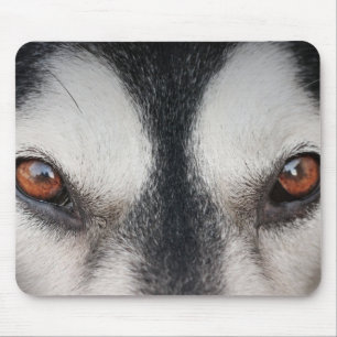 Malamute Dog Brown Eyes Mouse Mat