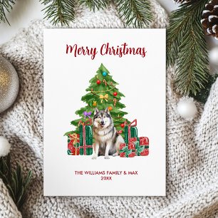 Malamute Dog Family Christmas Holiday Card