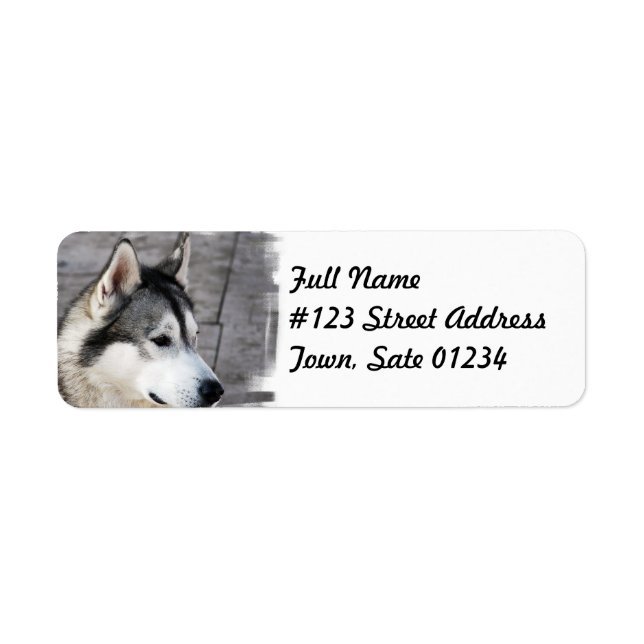 Malamute Dog Mailing Label (Front)