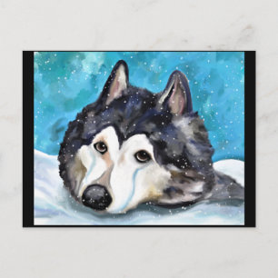 MALAMUTE PLAYING IN SNOW POSTCARD