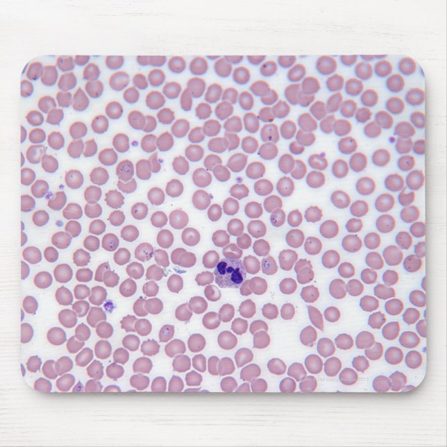 Malarial Blood Cells Mouse Mat (Front)