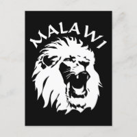 Malawi Lion