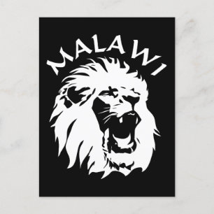 Malawi Lion Postcard