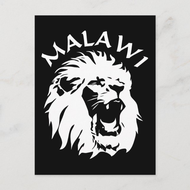 Malawi Lion Postcard (Front)