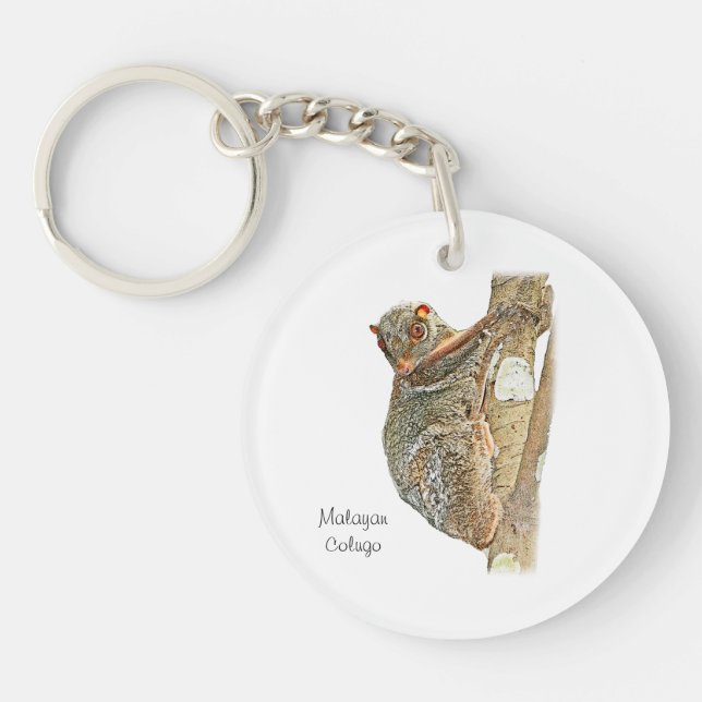 Malayan Colugo Acrylic Key Chain (Front)