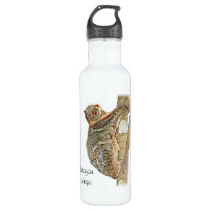 Malayan Colugo Water Bottle