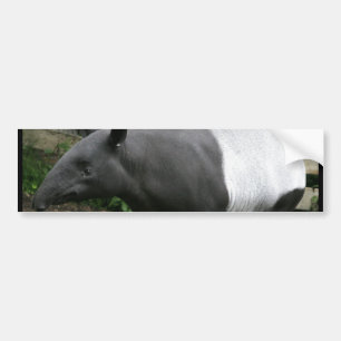 Malayan Tapir Bumper Sticker