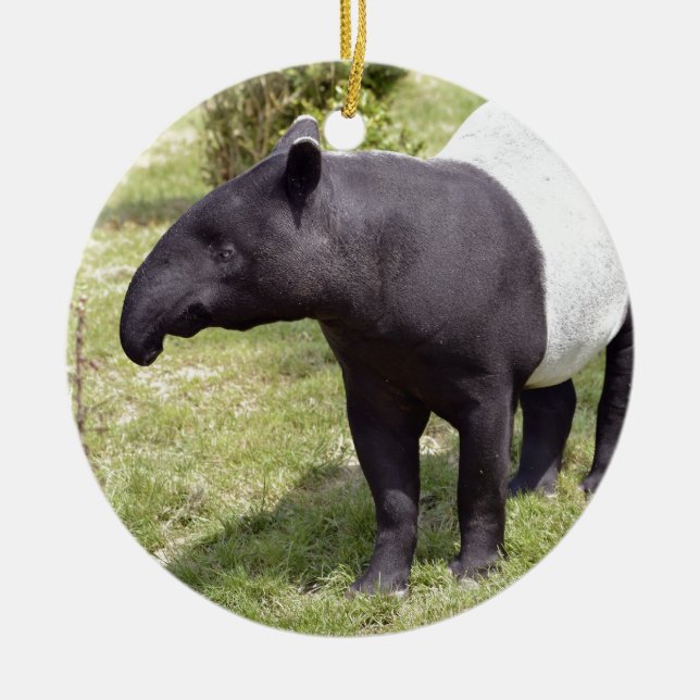 Malayan tapir on grass ceramic tree decoration (Front)
