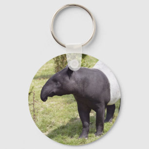 Malayan tapir on grass key ring