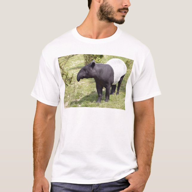 Malayan tapir on grass T-Shirt (Front)