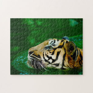 Malayan Tiger Big Cats. Jigsaw Puzzle
