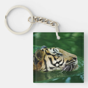 Malayan Tiger Swimming Headshot Key Ring